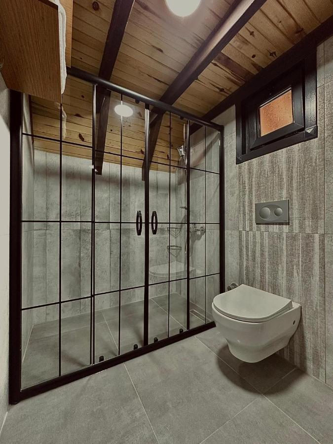 Maksudiye Selale Tatil Koyu Villa Geyve Екстериор снимка